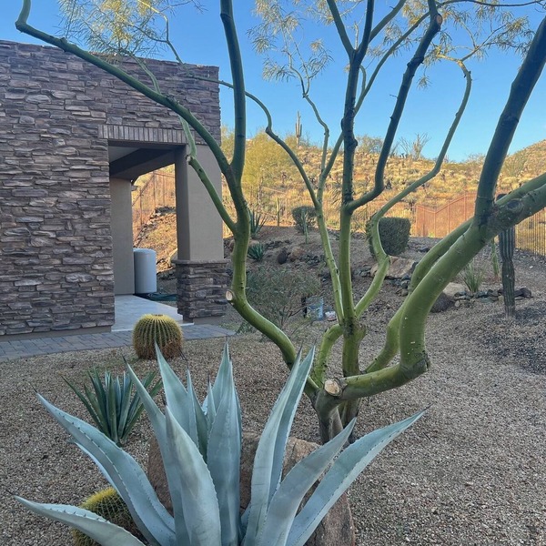 Sonoran Hiking Trails 2 Room Casita w Mountain Views borders National Preserve