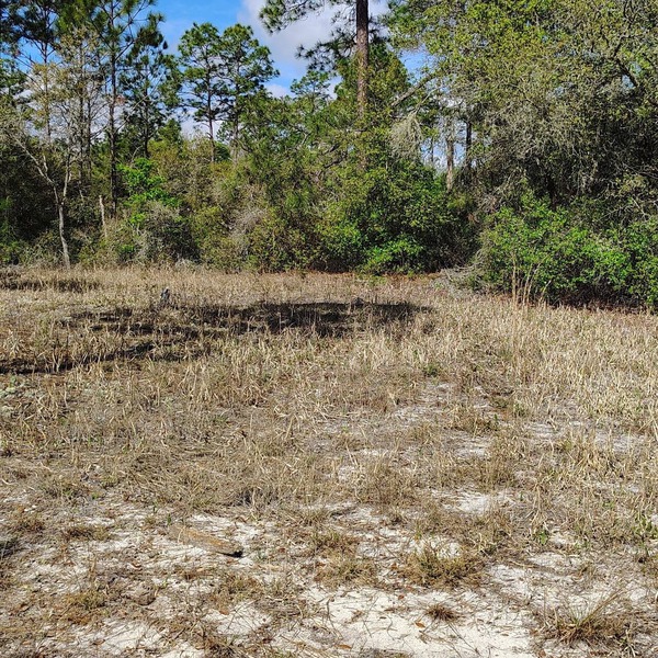 Soothing campground in Interlachen for a peaceful getaway