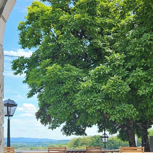 Source de la Vallée