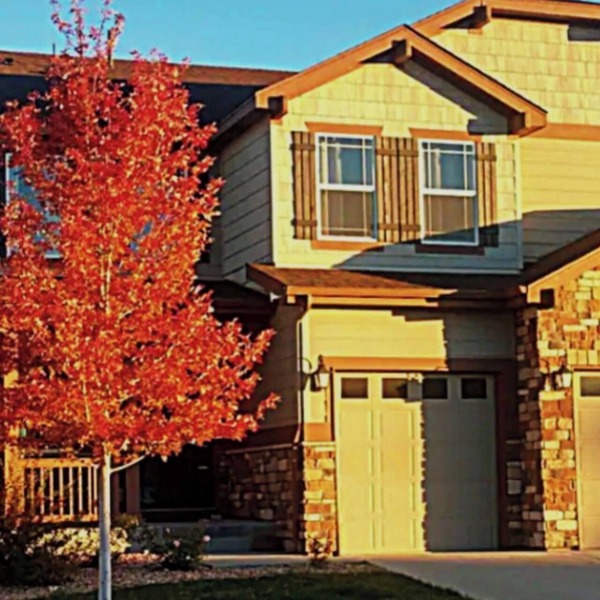Spacious 1 Bdrm Walkout Basement, backs to open space, 5 min to downtown & parks