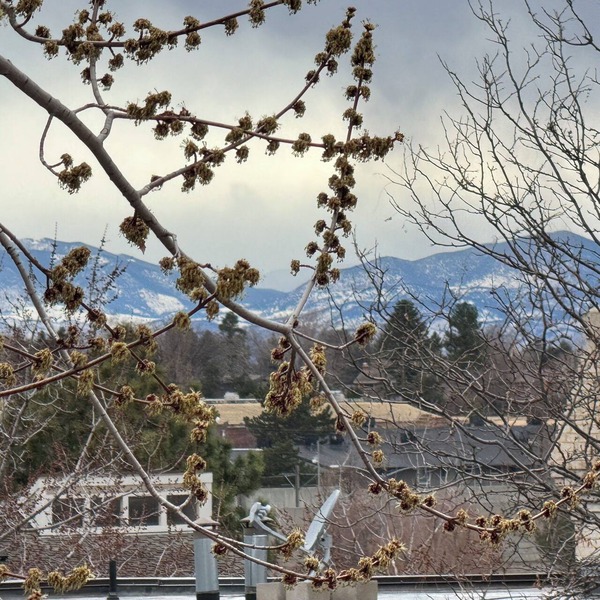 Spacious 2-bed 2-bath condo near DTC with Great Amenities