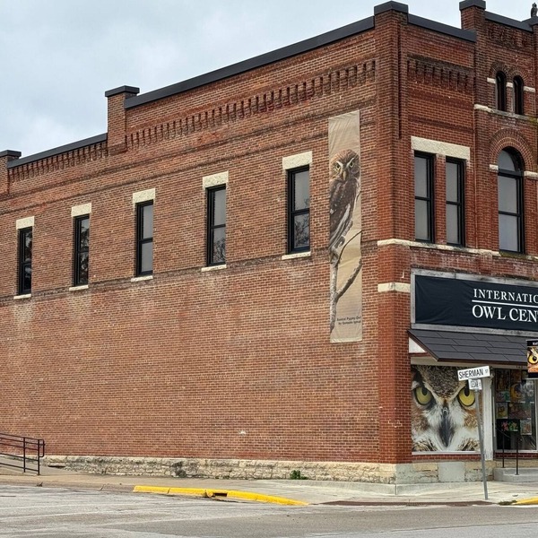 Spacious 2-bedroom loft above the International Owl Center in Houston, MN