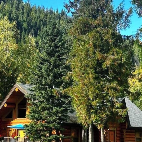Spacious 3 bed 3 bath Log Cabin Home