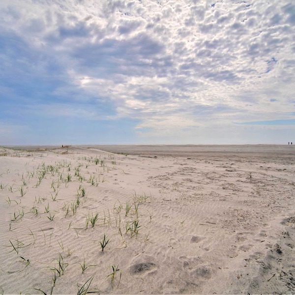 Spacious Brigantine Home ~ 1 Block to Beach!