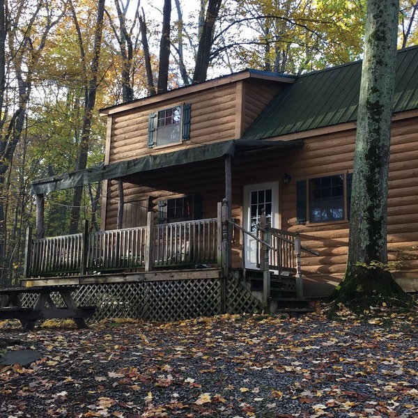 Spacious cabin perfect for romantic escapes and family vacations!