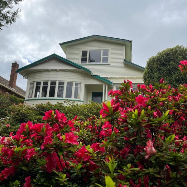 Spacious comfortable character House -Maori Hill
