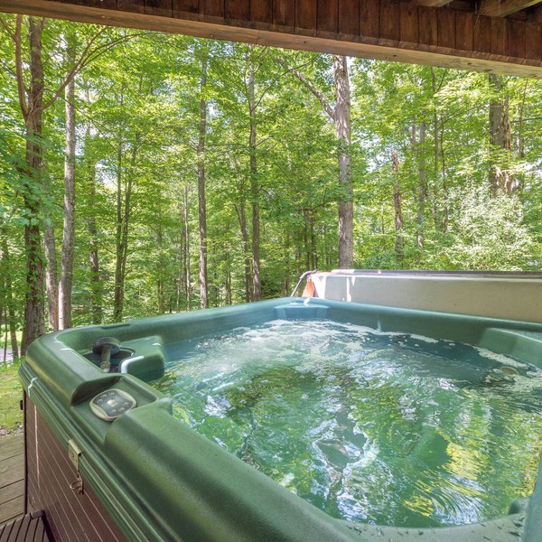 Spacious Deep Creek Stay w/Rustic Charm