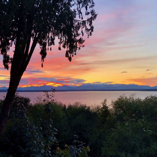 Spacious Romantic Salish Sea View Suite on Luxury Seattle Estate