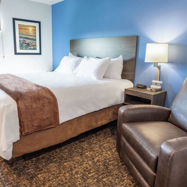 Spacious Room w/Kitchen, Pet-Friendly & Free Parking for Extended & Short Stays