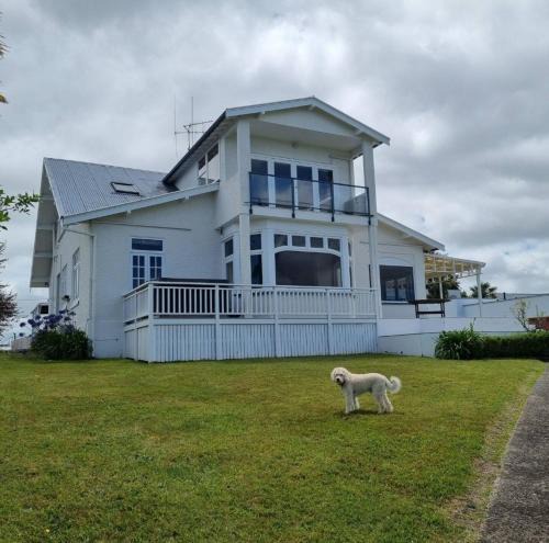 Spectacular Hamilton Lake Views
