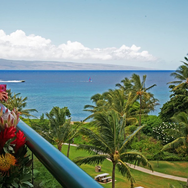 Spectacular Ocean View, Privacy, Sunsets & Whales from Lanai, Konea Tower #544