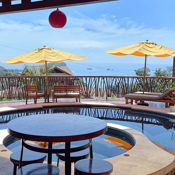 Spectacular view, heated pool & jacuzzi, gym, bar, workspaces, BBQ, dining deck