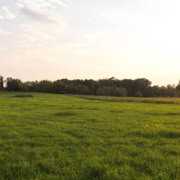 Spectacular Views! Large Home on 63 Acre Farm