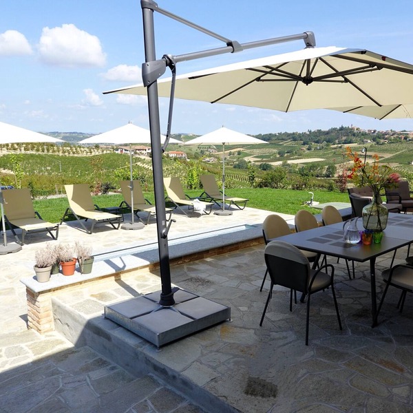Spectacular villa with private pool and views on the vineyards and the alps