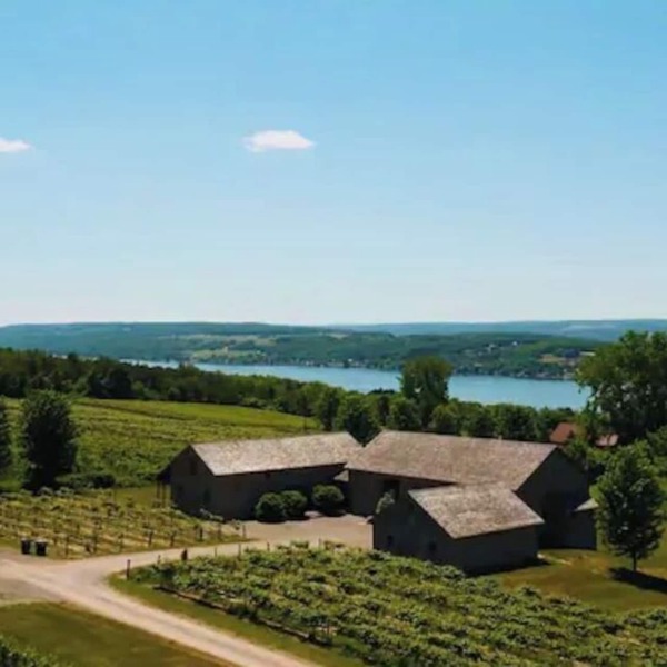 Spectacular Vineyard Estate above KEUKA LAKE
