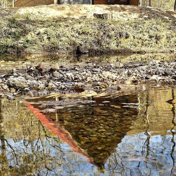 Spring Basin Lodge