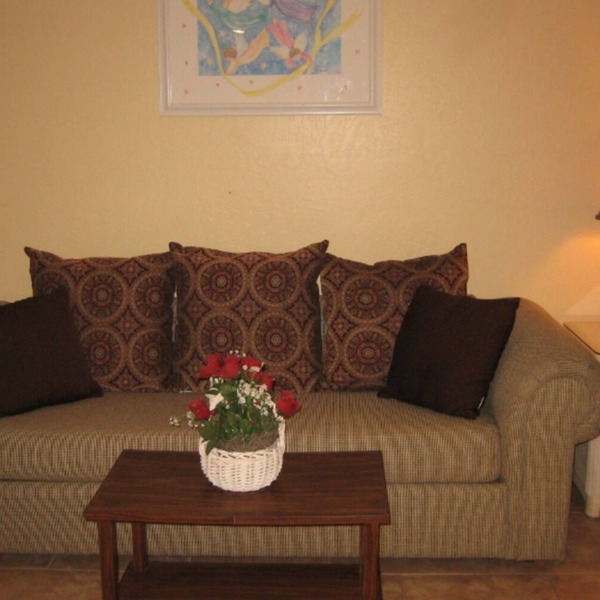 Spring training, nice studio, close to stadiums, heated pool/spa, golf, location