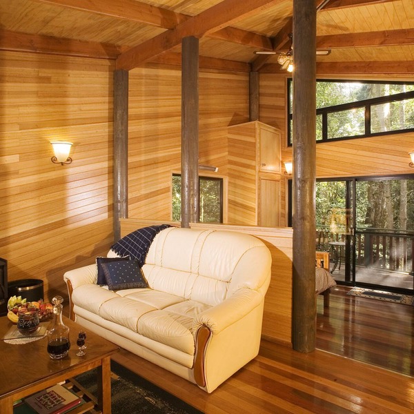 Springbrook Lyrebird Retreat