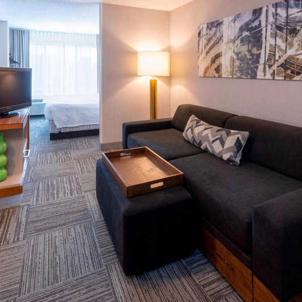 SpringHill Suites Rochester Mayo Clinic Area/Saint Marys