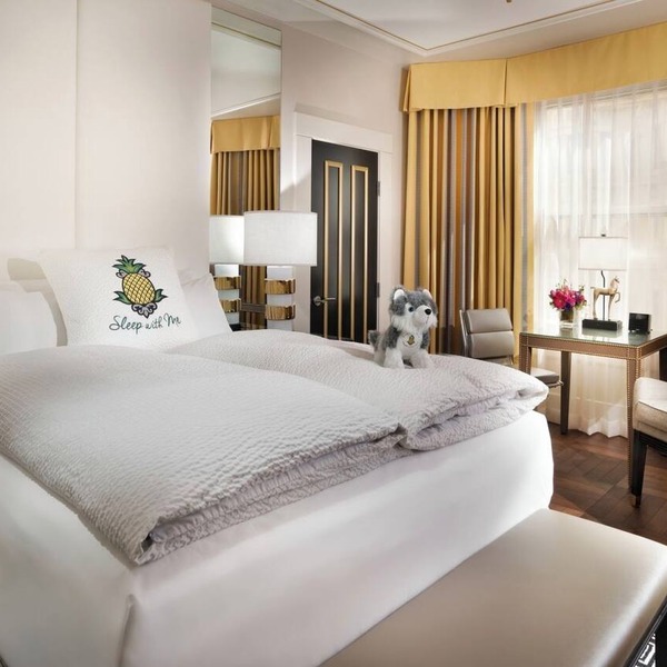 Starlet Queen Refuge, Staypineapple, Comfort Redefined, Union Square’s Spotlight