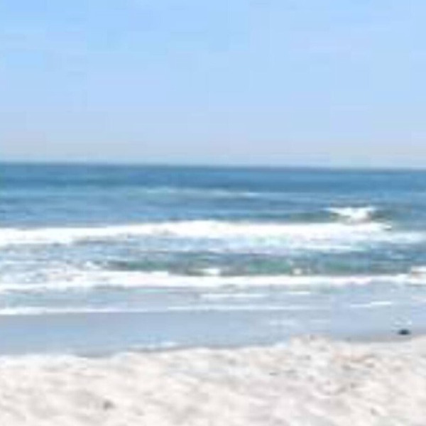 Steps to Beautiful Brigantine Beach. 1st. Floor Unit with Private Porch.
