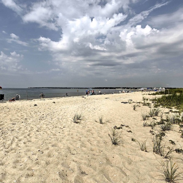 Steps to Eats & Craigville Beach! Cape Cod Cottage