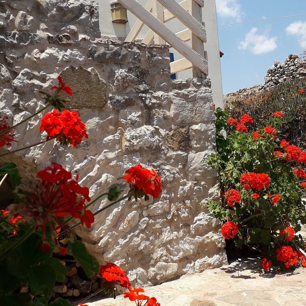 STONE HOUSE