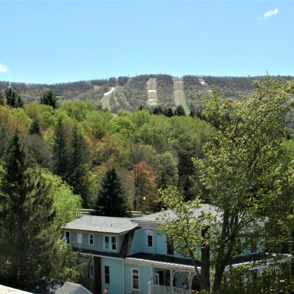 Studio 3 BEDS-SLP 3. Downtown Windham. Next to the Ski Resort. Close to Hunter