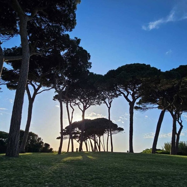 Studio apartments near Baratti Bay