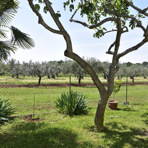 Studio flat Sveti Ivan, Umag (AS-22472-a)