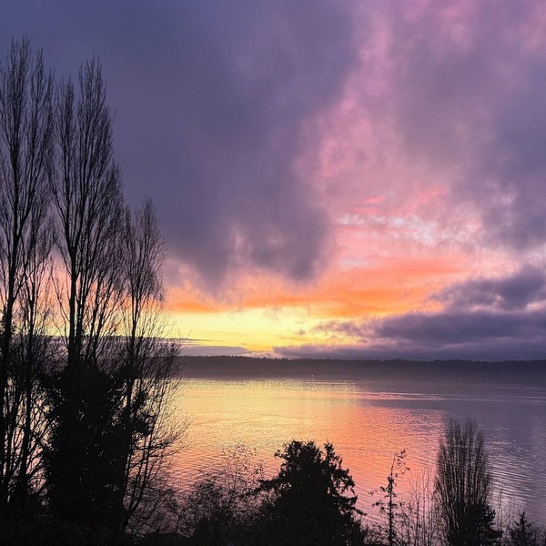 Stunning Bluff Cottage with Panoramic Puget Sound & Olympic Mountain Views