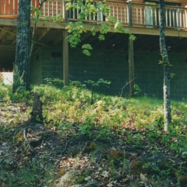 Stunning Mountain Views! And So Much To Do! Family & Pet Friendly.