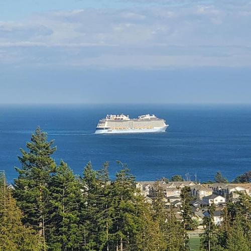 Stunning Ocean View Modern 1 BDR Private Entry Suite