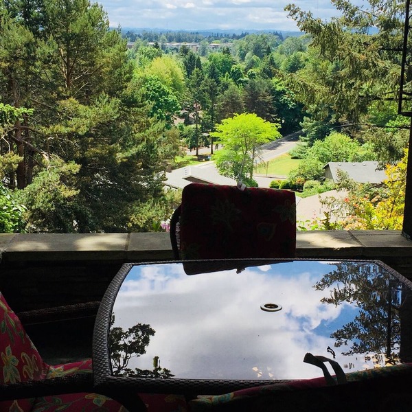 Stunning Views, 2 BR 2 BA Convenient to UO, Autzen and The Springs