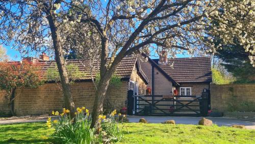Stylish Open Plan Guest House 400sq ft Rutland