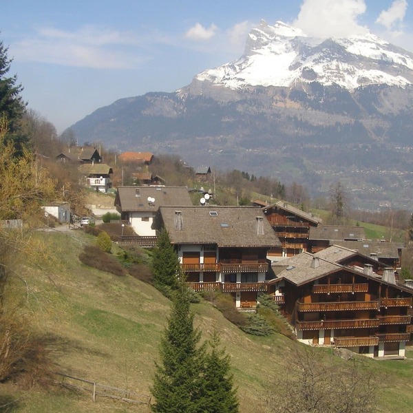 SUMMER/WINTER SKI RENTALS available: Large FAMILY Apartment (1bedroom+1cabine)