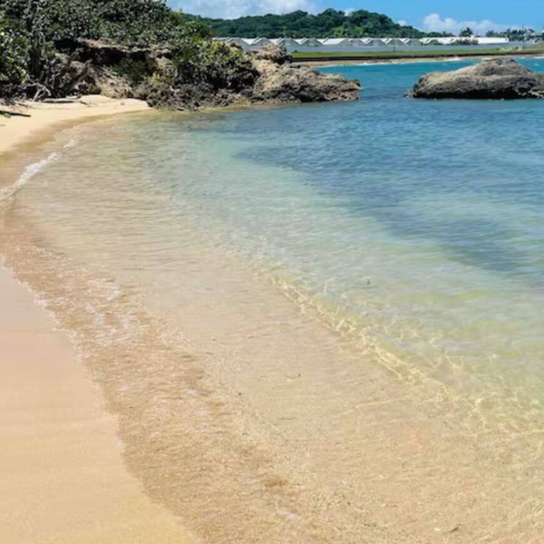 Sunny-shore Hideaway