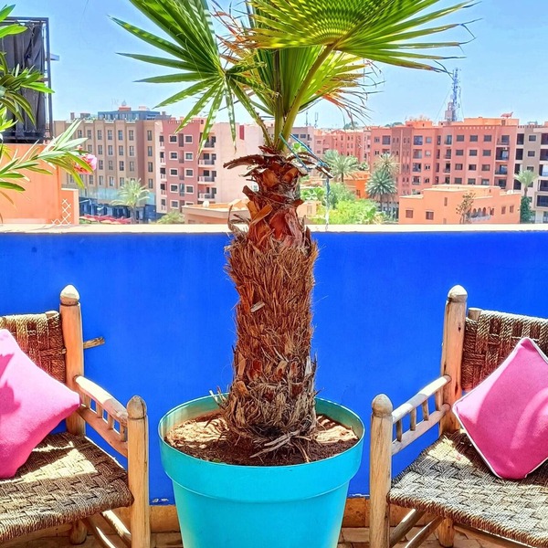 Superb Apt with Panoramic Terrace, Steps from Majorelle Gardens and YSL Museum !