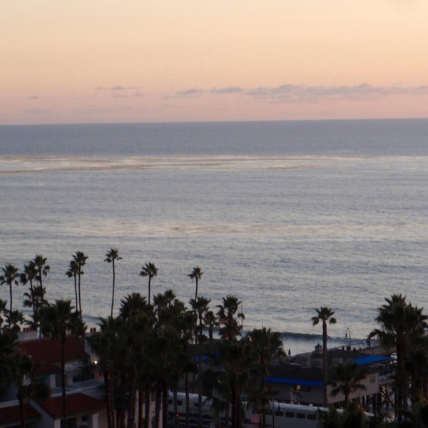Surf Shack - Panoramic Ocean View!