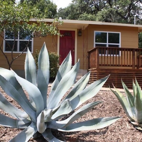 Sweet & comfortable 2/1 Bouldin home.Walk to food trailers,Zilker/Barton Springs