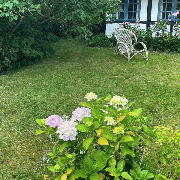 Thatched half-timbered house on idyllic Fejø