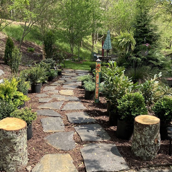 The Ashe Farm Bed & Breakfast