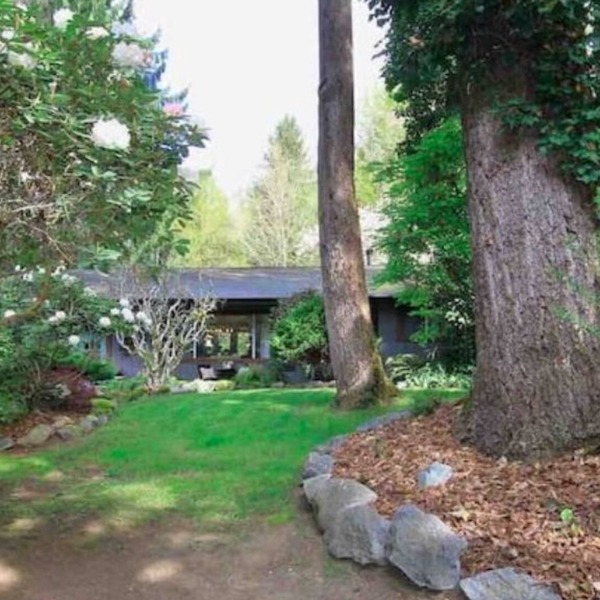 The Birch Cabin