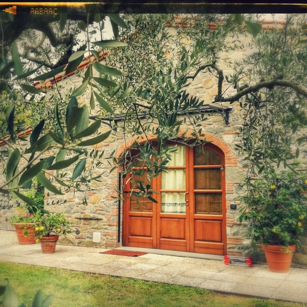 The Bricks's Oven