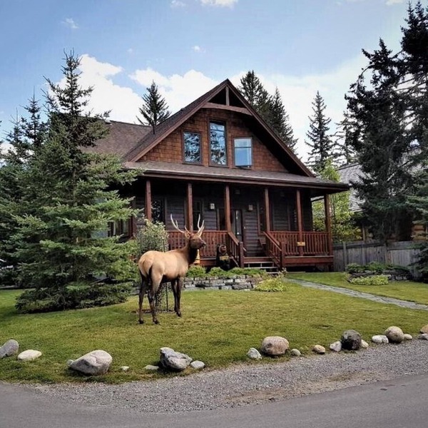 The Cedar - Downtown, walking distance to all the shops and restaurants!