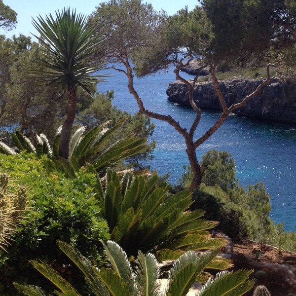 The exceptional location with a fantastic view of the open sea.