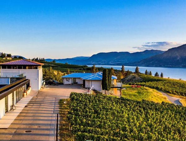 The Inn at Therapy Vineyards