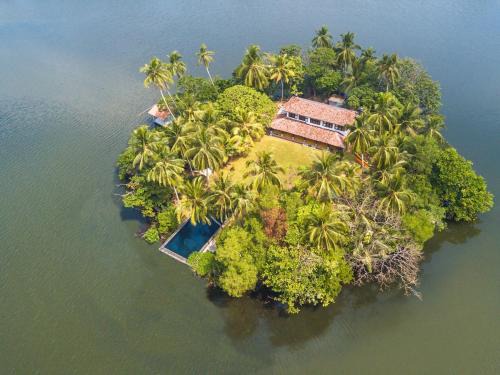 The Island On Bolgoda