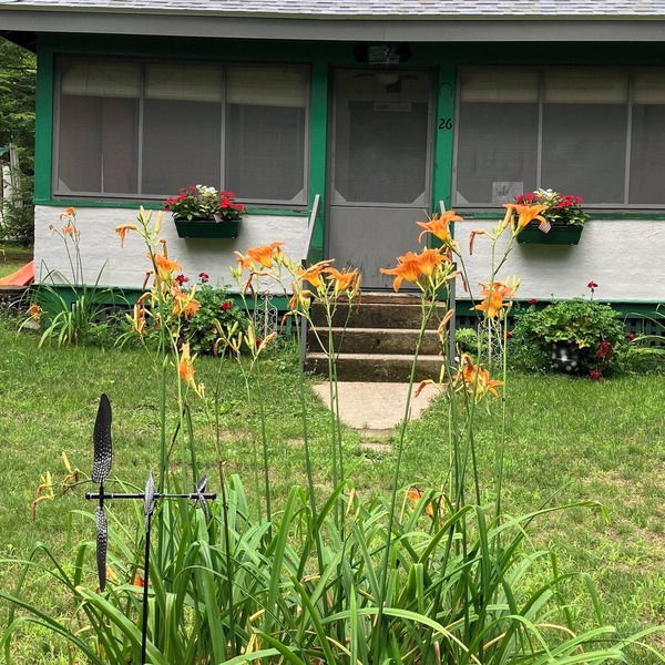 The Loon-ey Bin - Loon themed cottage less than 10 miles to Lake George