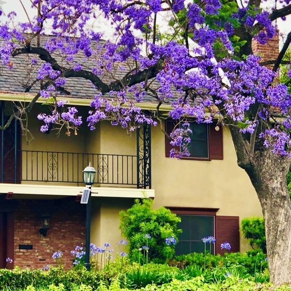 The“moving castle”,a French-style gem nestled in Pasadena